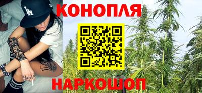тгк Сланцы