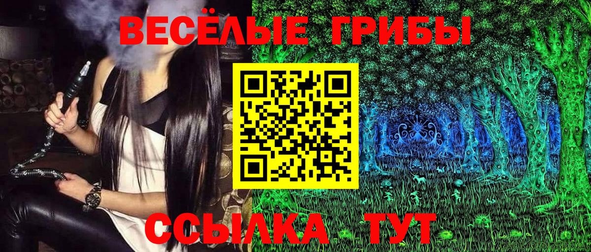 Нижнеудинск  Псилоцибиновые грибы Psilocybe  Вход с VPN 